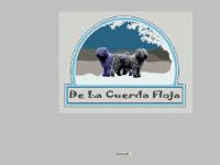 DE LA CUERDA FLOJA perro de agua espanol DE LA CUERDA FLOJA perro de agua espanol