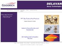 Delavan Nozzle Links