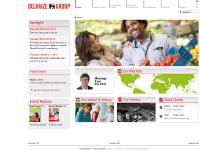 liten delhaizegroup.com skärmbild liten delhaizegroup.com skärmbild