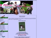 delpasquino.com éducateur, chien, dresseur