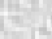 liten delsbosvets.se skärmbild