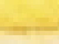 statistik för dentorama - Welcome To Dentorama Web Site