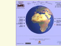  Les cafards, Cr&eacute;ation de sites