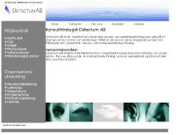 Detectum AB
