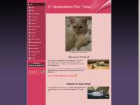  Två veckor :-), Tre veckor, 4 veckor, Vi och hundarna