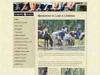  Trail Rides, Riding Lessons, Bunkhouse, Gift Certificates