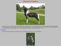 Diamond 'D' Stables 2 Diamond 'D' Stables 2