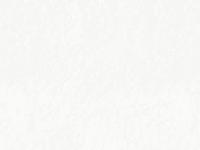 dicemedia.com Web Design, CD-Business Cards, Multimedia