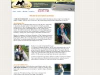 dillecanineconnection.com Dog Trainers, Professional Dog Trainer, House Breaking dillecanineconnection.com Dog Trainers, Professional Dog Trainer, House Breaking