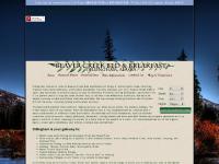 dillinghamalaska.com dillingham alaska lodging accommodation acommodation accomodation acomodation nuschagak river wood river salmon rainbow trout grayling arctic char northern pike hunting moose caribou bear bird walrus island togiak national wildlife refuge wood tikchik state park business traveler sportmen tourist