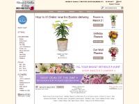  WINTER, BIRTHDAY, WINTER, OCCASIONS