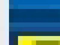 DIMOND/SENTINEL web site