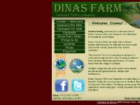 Dinas Farm Self Catering Caravan & Camping - Llanbedr near Barmouth Snowdonia, North Wales Dinas Farm Self Catering Caravan & Camping - Llanbedr near Barmouth Snowdonia, North Wales
