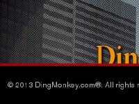 dingmonkey.com dingmonkey, door ding, protection