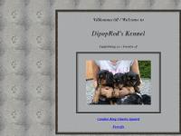 dipopred.se Cavalier King Charles Spaniel, Basenjis dipopred.se Cavalier King Charles Spaniel, Basenjis