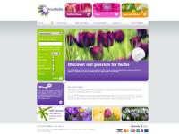 Welcome to Directbulbs.. Online retailer of bulbs for your garden Welcome to Directbulbs.. Online retailer of bulbs for your garden