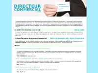 directeurcommercial.com - directeurcommercial directeurcommercial.com - directeurcommercial