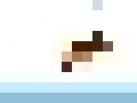 DIRECTORS DATABASE DIRECTORS DATABASE