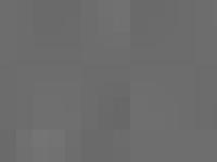  vinyl, karndean, caralium, senso