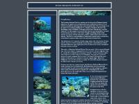 Diving Bunaken - Dive, Hotel, Beach, Island, Villa, Fee and Accomodation Information Online Diving Bunaken - Dive, Hotel, Beach, Island, Villa, Fee and Accomodation Information Online