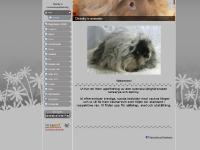 Hem - www.divinitys.se