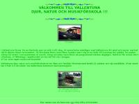 statistik för djurnaturomusik - VALLENTUNA DJUR, NATUR OCH MUSIKDAGIS statistik för djurnaturomusik - VALLENTUNA DJUR, NATUR OCH MUSIKDAGIS