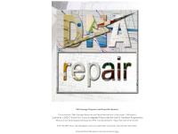 dna-repair.nl xx