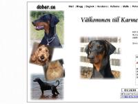 liten dober.se skärmbild liten dober.se skärmbild