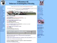 Dalarnas Ornitologiska Förening, ornitologi, fågelskådning Dalarnas Ornitologiska Förening, ornitologi, fågelskådning