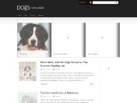 Dogs In Canada