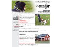 liten donnes.se skärmbild liten donnes.se skärmbild