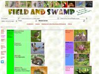 dpughphoto.com biodiversity, habitats, nature observation dpughphoto.com biodiversity, habitats, nature observation