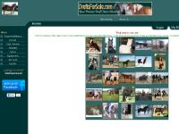 draftsforsale.com draft horses for sale, draft horse classified, draft horse classifieds