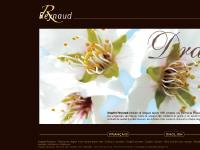 Confiseur spécialiste de dragées aux amandes et chocolat Confiseur spécialiste de dragées aux amandes et chocolat