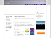 DragonSearch; Digital Marketing Services & Consultants