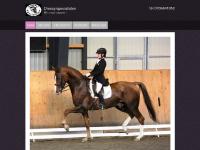 Dressyrspecialisten Dressyrspecialisten