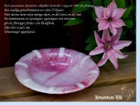 dronten.se Klicka för att fortsätta dronten.se Klicka för att fortsätta