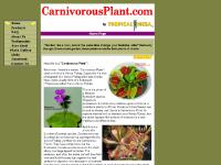 Tropical Mesa Carnivorous Plants - Home