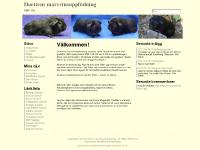 liten duettensmarsvin.se skärmbild liten duettensmarsvin.se skärmbild