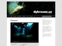 liten dykresan.se skärmbild liten dykresan.se skärmbild