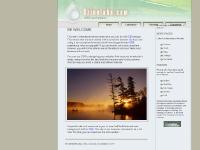 Experimental Css design