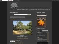  BlogThis!, Black Locust, Robinia pseudoacacia, Carya tomentosa
