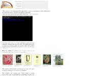 Early Gaelic Harp Info