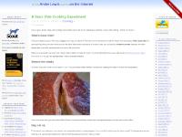 earthcode.com $450 from Sur La Table, cooking happen in a cooler, thermometer probe / controller