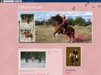 liten ebbawouters.blogspot.com skärmbild