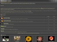  Top rated, My Favorites, By date, Echinopsis by Hybridizers