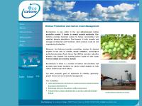 eco-carbone.com Jatropha Activities, CDM/JI Activities, English eco-carbone.com Jatropha Activities, CDM/JI Activities, English