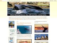 eco-lodge-en.blogspot.com Peninsula Valdes, Whale Watching, tours