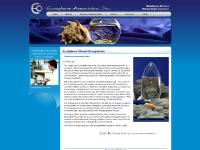 eco-sphere.com ecosystem, ecosphere, closed aquarium eco-sphere.com ecosystem, ecosphere, closed aquarium