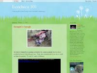 Ecochica 101 Ecochica 101